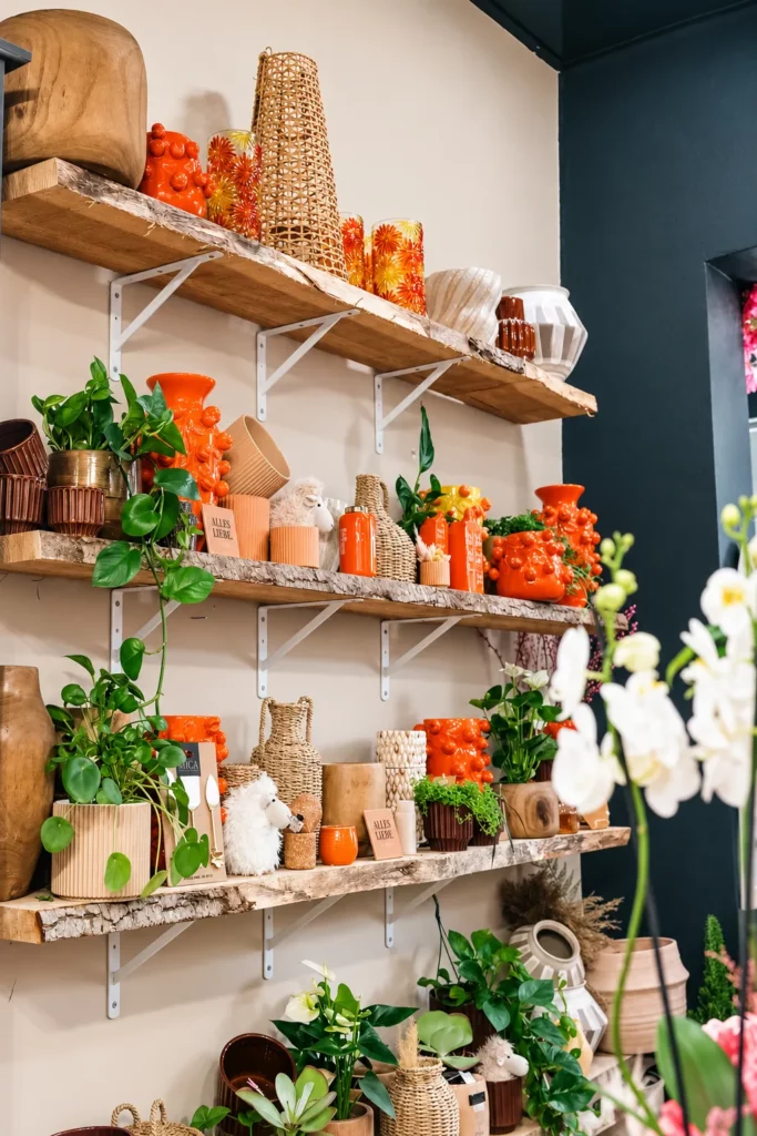 Plantes, orchidées et objets de décoration — sélection de La Rose des Sables By Saliha