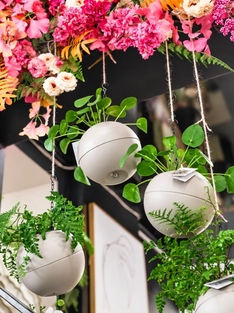 Plantes, orchidées et objets de décoration — sélection de La Rose des Sables By Saliha