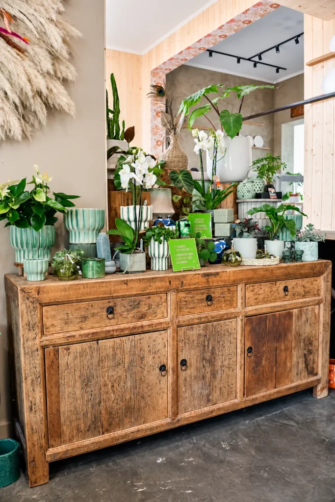 Plantes, orchidées et objets de décoration — sélection de La Rose des Sables By Saliha