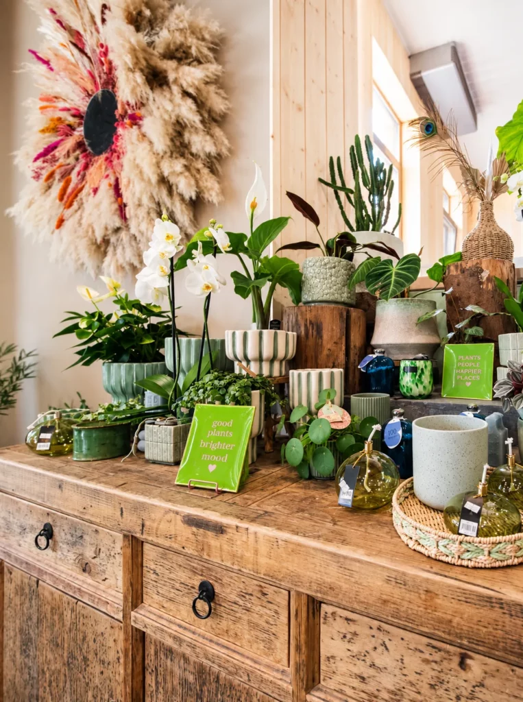 Plantes, orchidées et objets de décoration — sélection de La Rose des Sables By Saliha