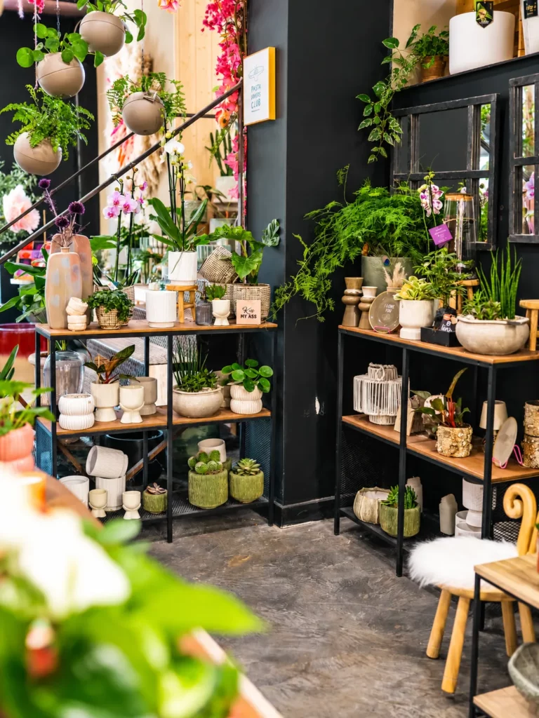 Plantes, orchidées et objets de décoration — sélection de La Rose des Sables By Saliha